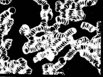 Load image into Gallery viewer, Energizer Water W 100