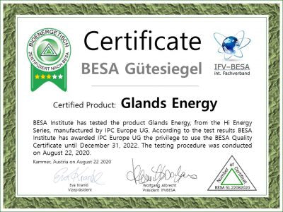 Load image into Gallery viewer, Glands Energy Necklace