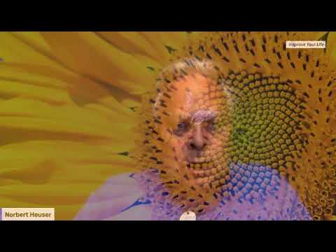 Load and play video in Gallery viewer, Bees Protection