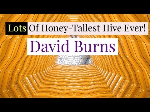 Load and play video in Gallery viewer, Bees Protection