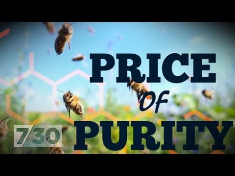 Load and play video in Gallery viewer, Bees Protection