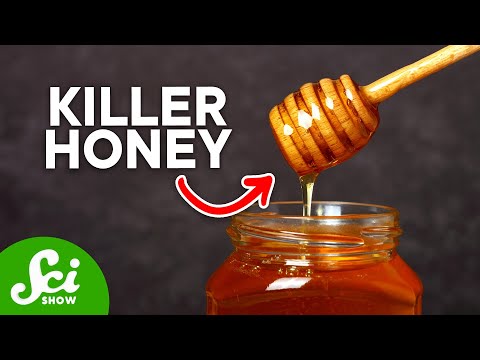 Load and play video in Gallery viewer, Bees Protection