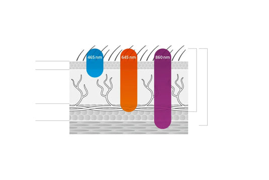 The BEMER Beauty-Pack Evo