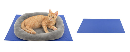 Pet Anti-Aging Solutions